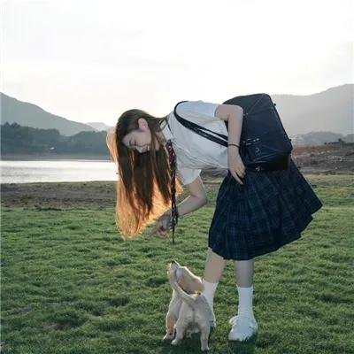 寒椿